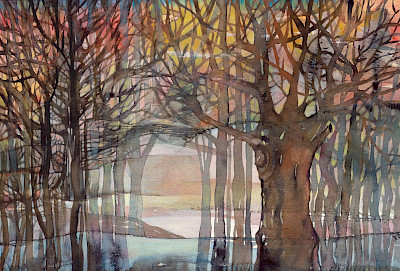 Wald in Abendstimmung - 