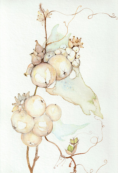 Schneebeeren II - 