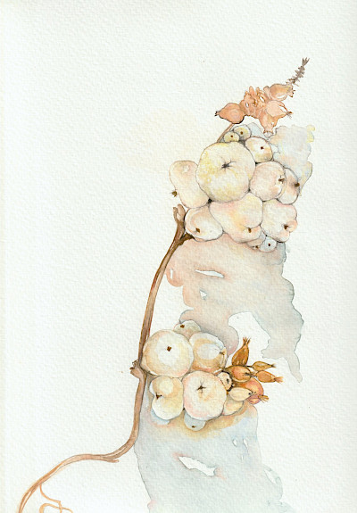 Schneebeeren - 