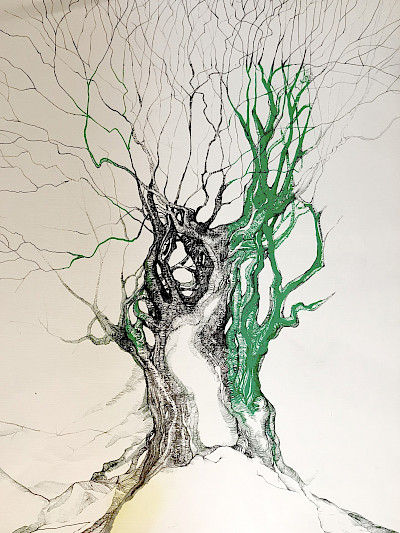 Baum im grünen Licht - 